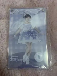 こ*い様 FRUITS ZIPPER　仲川瑠夏　アクリルシャドーボックス　すきく