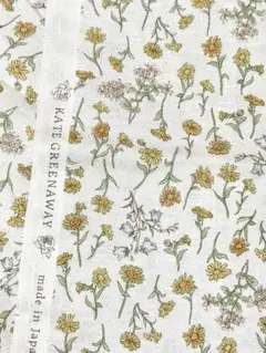 2026年最新】ケイトグリーナウェイの人気アイテム - メルカリ