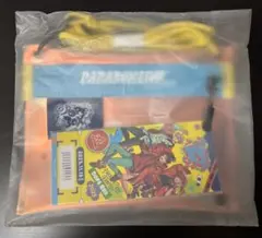 パラライ オーロラポーチ チケット風カード