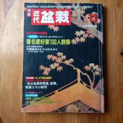 1991年月刊 近代盆栽 11月号 創刊14周年記念号 1991年月刊 近代盆栽 11月号 創刊14周年記念号 - メルカリ