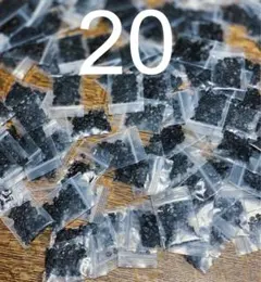 2025年最新】ウリエル アガベの人気アイテム - メルカリ