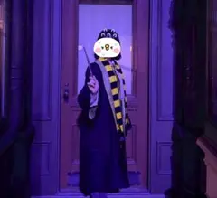 ハリーポッター コスプレセット ハッフルパフ