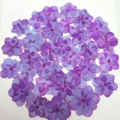 toseti様 リクエスト 3点 まとめ商品