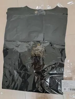 Tシャツ　KOICHI DOMOTO LIVE TOUR 2025 RAISE