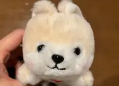 豆しば ぬいぐるみ マスコット