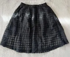 デイシーdeicyシースルー刺繍チェック柄スカートＳのサムネイル