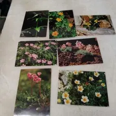 Item thumbnail for item 64d5e488-b4ff-45d2-bfd3-f328313ff9db