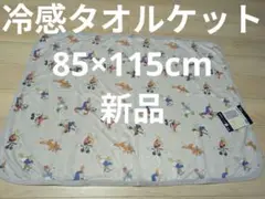 ディズニー　冷感タオルケット