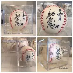 東京ヤクルトスワローズ 山田哲人、小川泰弘、西田明央 直筆サイン