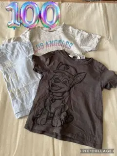 パウパト　チェイス　100 Ｔシャツ　(25)