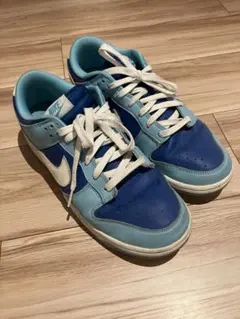 Nike スニーカー 青/水色