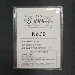 Z/X SUMMER COLLECTION 2025 No.36　未開封