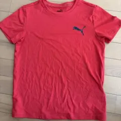 PUMA オレンジ Tシャツ 140