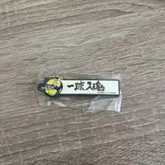 Item thumbnail for item e408b043-f471-4059-b354-098dffb013d5