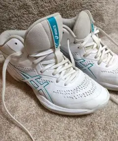 Item thumbnail for item 5f27ab94-c32e-4cdb-a9c8-213310b31d37