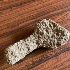 亀甲石 水石 鑑賞石 観覧石 庭石 和室 床の間 玄関 置物 インテリア