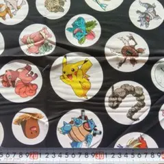 ９０cmポケモン キャラクター ピカチュウＵＳＡコットン生地 送料込み 新品