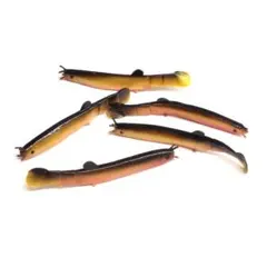 Item thumbnail for item f5c86c8a-f2aa-4cd9-b26c-22b66c21668f