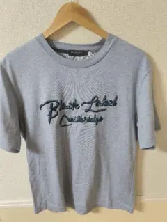 BLACK LABEL CRESTBRIDGE Tシャツ M（青色）