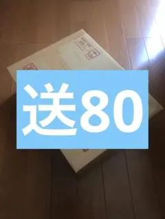 発送変更ページ　ゲルググ　ルナ　80サイズ
