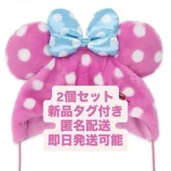 ファンキャップ ミニパル ミニーのファンダーランド パルパルーザ