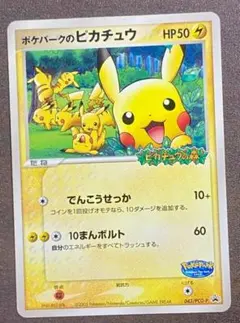 最終値下げ】 ポケパークのピカチュウ フォレストシート キラ 1枚