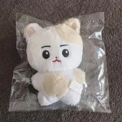 enhypen ヒスン ぬいぐるみ 10cm 新品 マスター - メルカリ