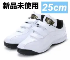 ゼット ZETT 野球 トレーニングシューズ ラフィエット BSR8017G