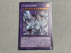 2026年最新】究極竜魔導師の人気アイテム - メルカリ