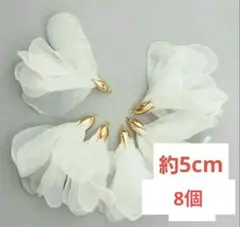 Item thumbnail for item 7612f2f5-971b-48ef-b606-48f0a1221966