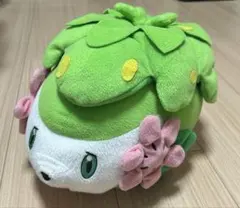 ☆ポケモン☆シェイミ 20周年記念 もっちりぬいぐるみ - メルカリ