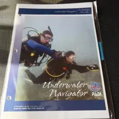 Item thumbnail for item 8b68c88b-fa91-4549-b626-446bd16614e7