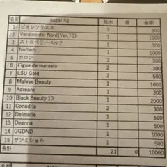 sugar fig様専用！