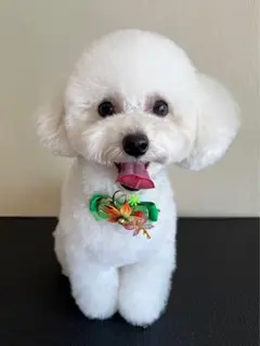 masako 様　専用でございます。