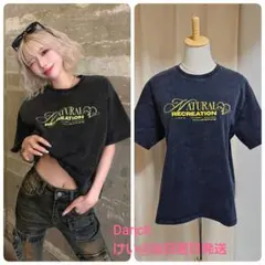 Darich ダーリッチ NATURAL RECREATIONTシャツ グレーのサムネイル