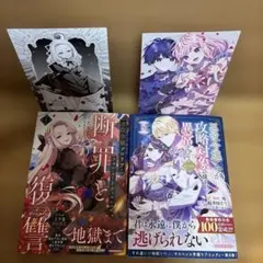 2巻セット】不良少女とよばれて DVD-BOX 前編、後編 - メルカリ