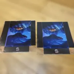 鬼滅の刃 2枚セット