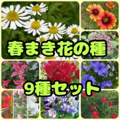 ミカゲ様 リクエスト 3点 まとめ商品