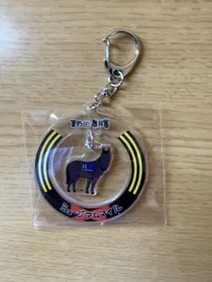 JRA ウェルカムチャンス ミュージアムマイル アクリルキーホルダー