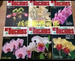 趣味の洋ラン　 ニューオーキッド6冊　洋蘭　バラ販売可能　洋らんの情報誌