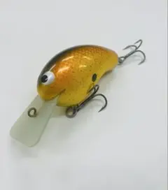 2025年最新】フライノーズシャッドの人気アイテム - メルカリ