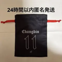 スキズ チャンビン 巾着ポーチ dominate VR