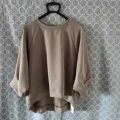 Item thumbnail for item 0679b8e8-52c7-460c-bf86-f033c3e62690