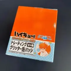 ハイキュー 宮治 プール掃除 グリッター缶バ トレーディンググリッター缶バッジ ハイキュー!!/プール掃除ver
