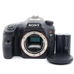 2025年最新】sony α65の人気アイテム - メルカリ