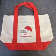 新品 お値下げ中 チョンヘイントートバッグ