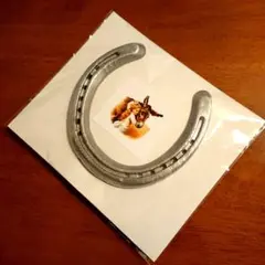 【本物の蹄鉄】馬蹄