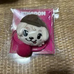 ポンポンキャラクターヘアゴム 岩ちゃん KINGDOM
