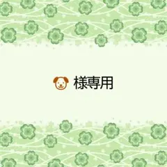 ttt 様専用