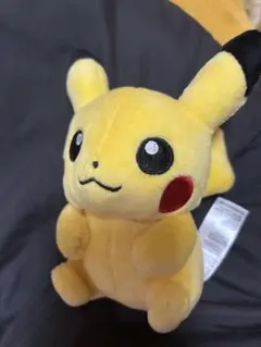ポケモンfit ピカチュウ